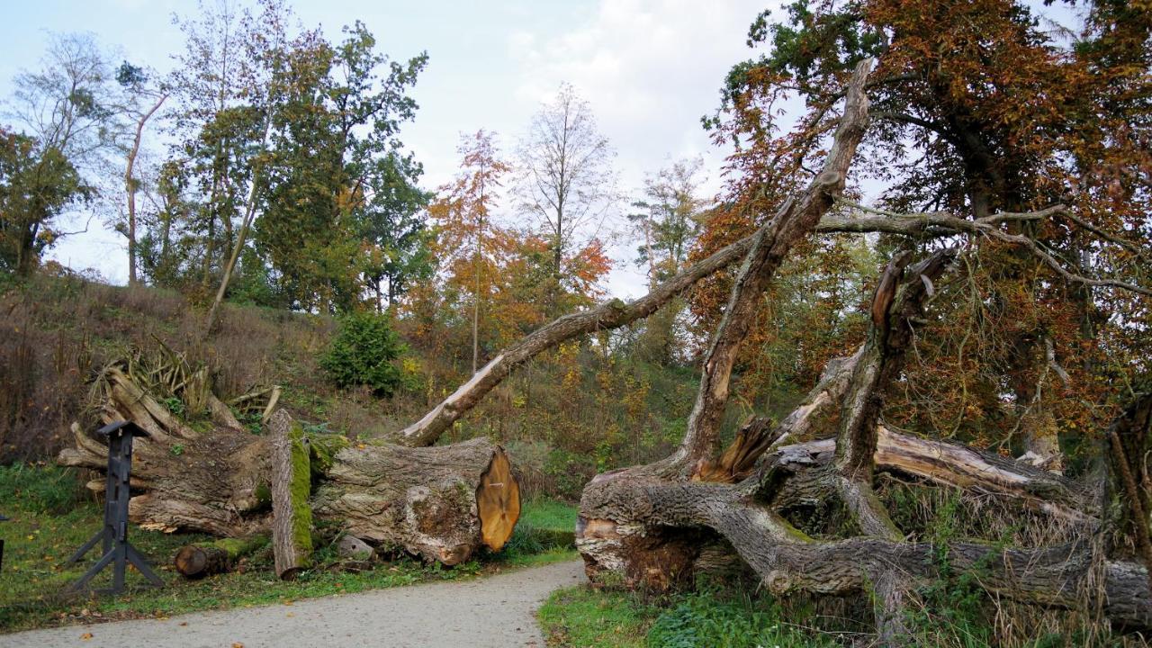 Palac Komierowo Sepolno Krajenskie Exterior photo